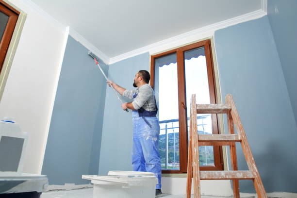 Best Post-Construction Mold Inspection  in Rancho Viejo, TX