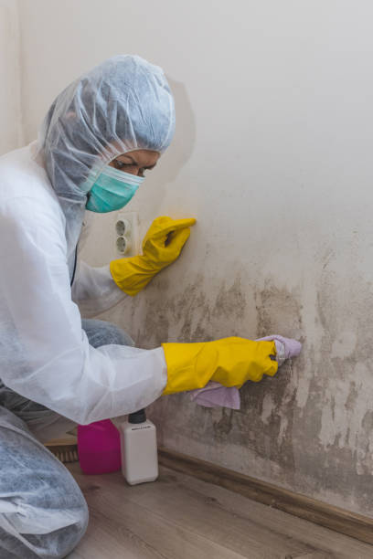 Best Indoor Air Quality Assessment  in Rancho Viejo, TX