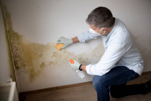 Best Residential Mold Inspection & Testing  in Rancho Viejo, TX