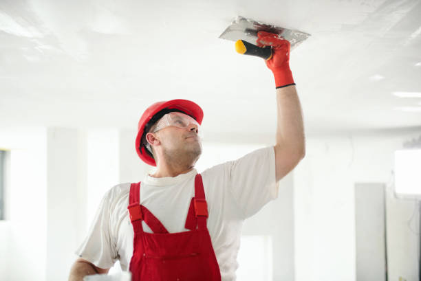 Best Attic Mold Removal  in Rancho Viejo, TX