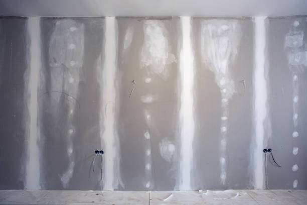 Best Mold Odor Removal Services  in Rancho Viejo, TX